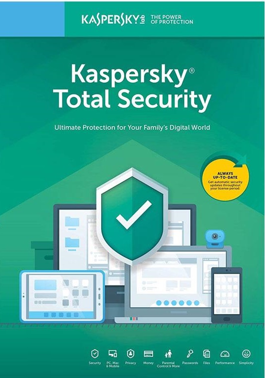 kaspersky Dragon Professional Individual v15