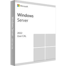 Windows Server 2022 Standard - 50 User CALs