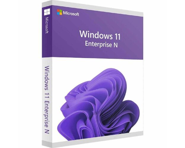 Windows 11 Enterprise N, image 