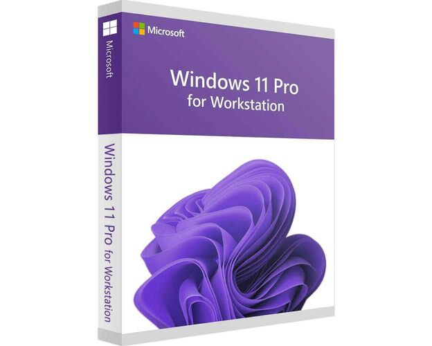 Windows 11 Pro for Workstation, image 