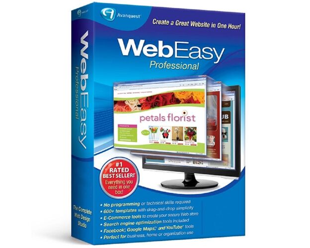 WebEasy Professional 10