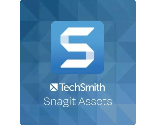 TechSmith Snagit Assets, Runtime: 1 Year, Users: 1- 4 Users, image 